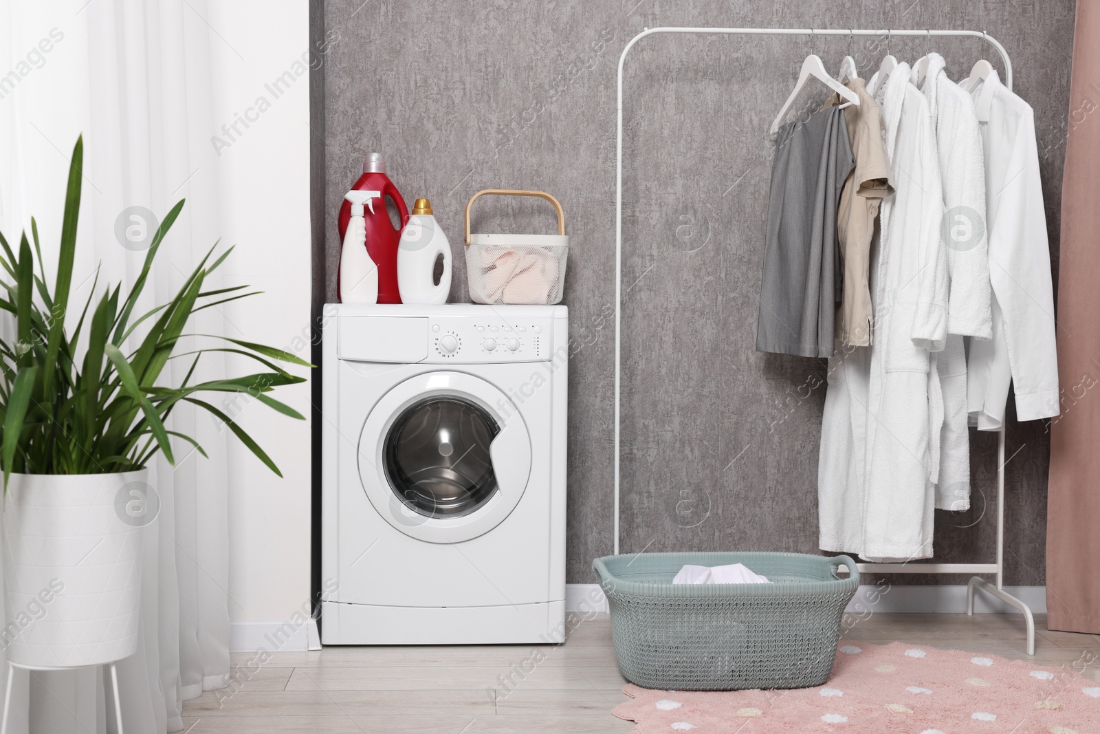 Photo of Washing machine, detergents, baskets, clothing rack and houseplant indoors