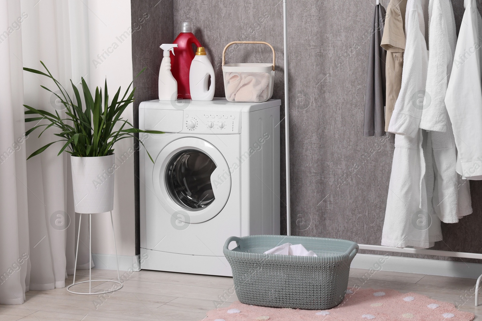 Photo of Washing machine, detergents, baskets, clothing rack and houseplant indoors