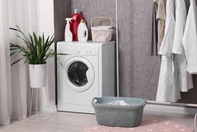 Washing machine, detergents, baskets, clothing rack and houseplant indoors