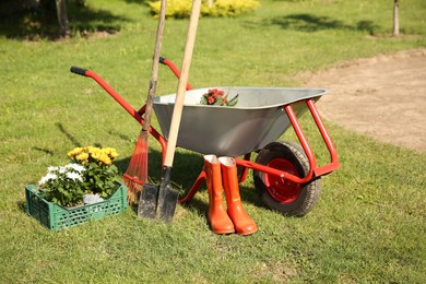 Photo of Wheelbarrow with different beautiful flowers, rubber boots and gardening tools outdoors