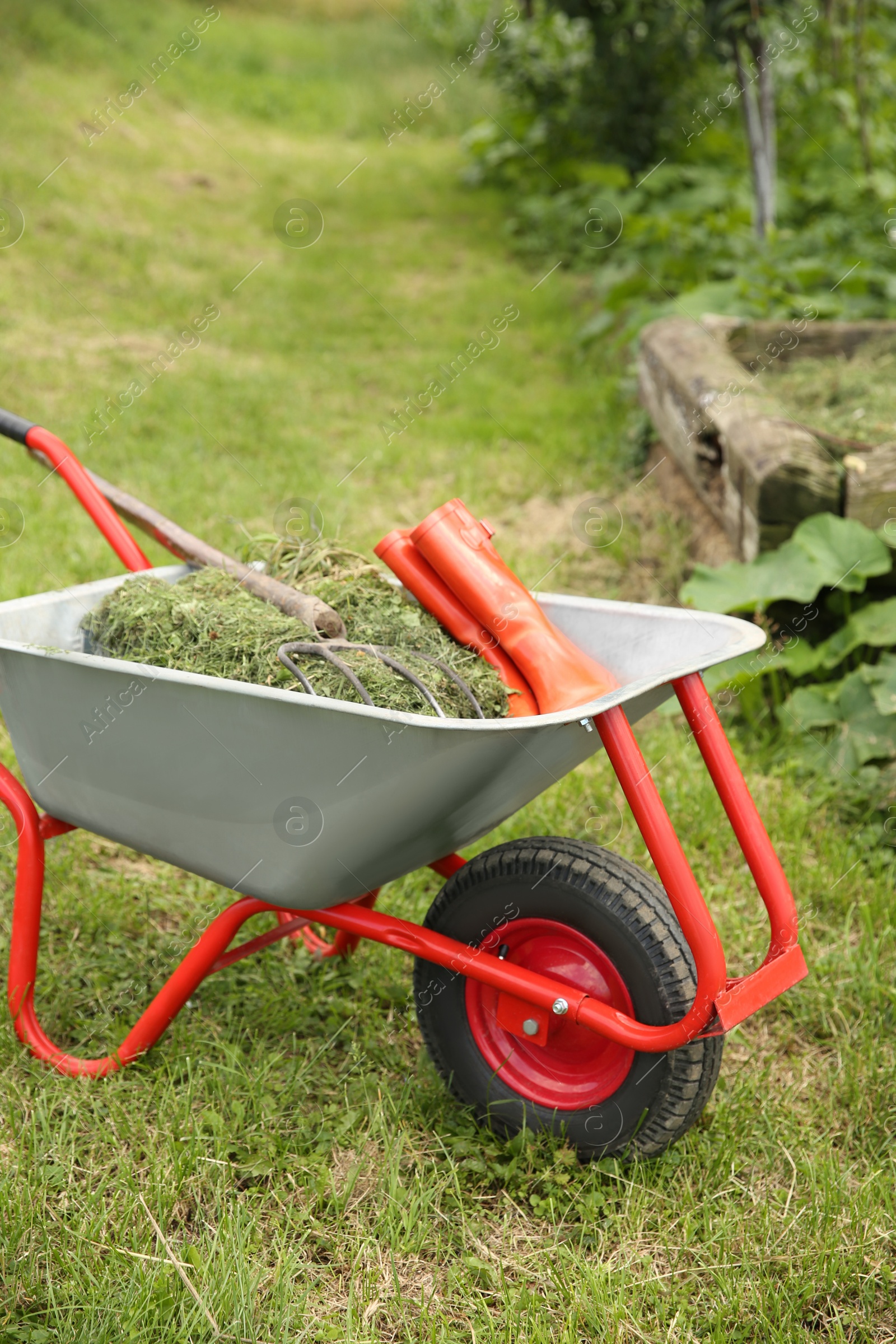 Photo of Wheelbarrow with mown grass, rubber boots and pitchfork outdoors