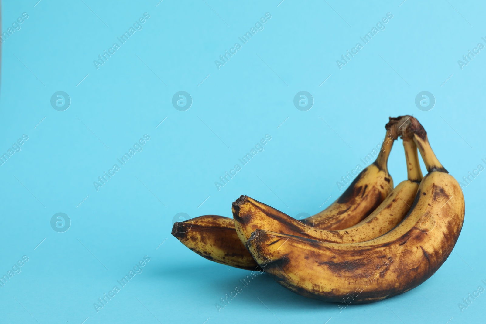 Photo of Overripe bananas with dark spots on light blue background. Space for text