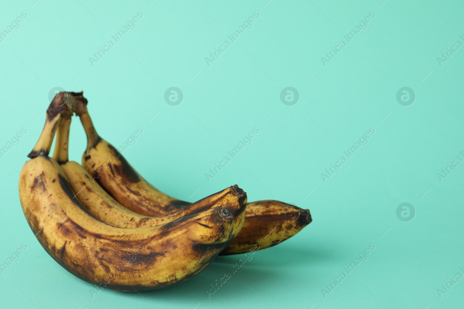 Photo of Overripe bananas with dark spots on turquoise background, closeup. Space for text