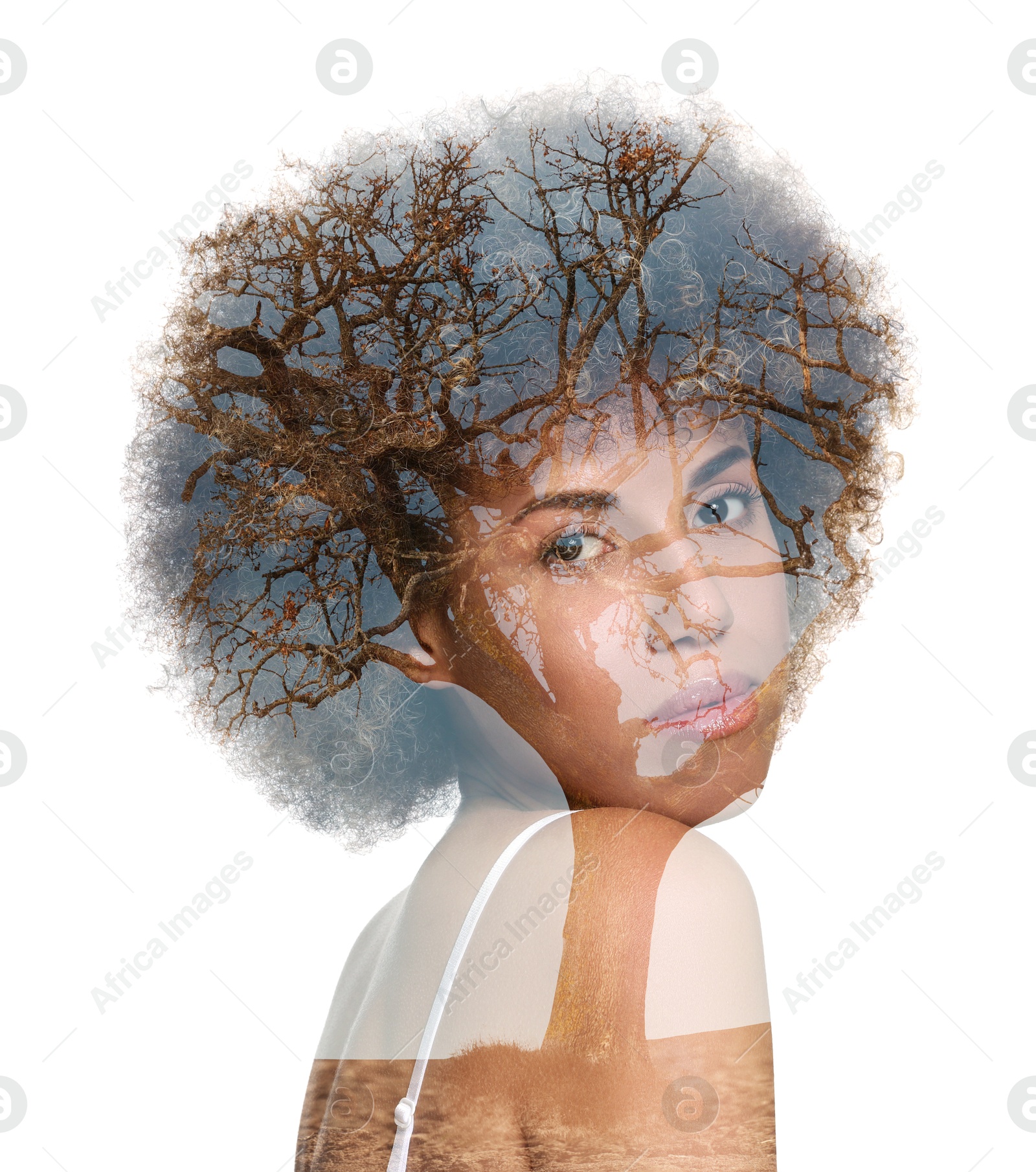 Image of Double exposure of beautiful woman and dried tree in desert. Climate changes