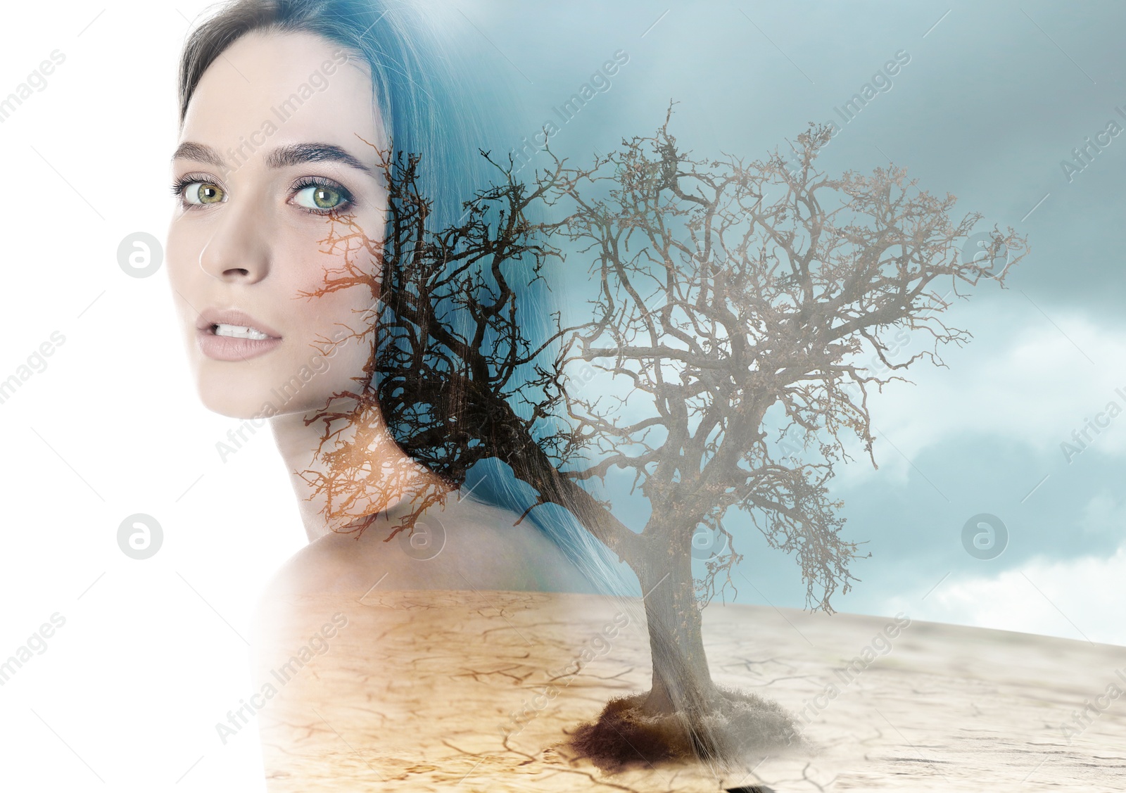 Image of Double exposure of beautiful woman and dried tree in desert. Climate changes