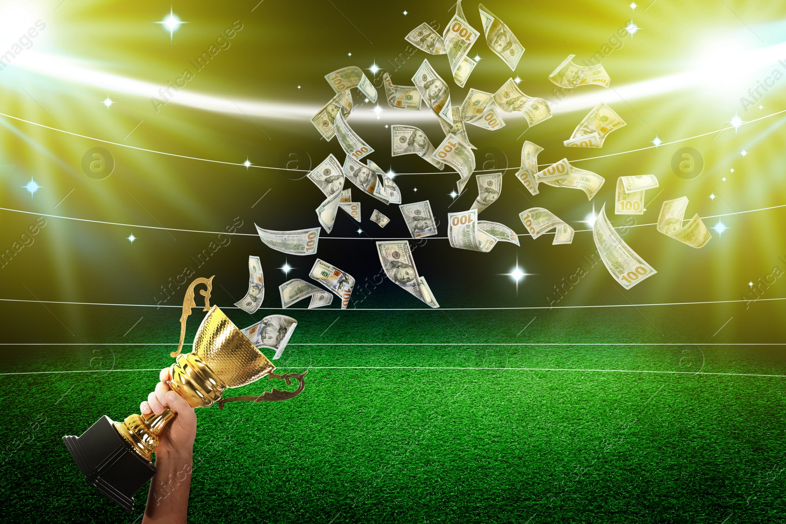 Image of Man holding gold trophy cup and money in air at stadium, closeup