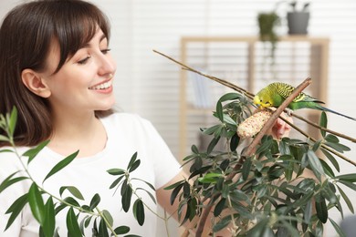 Photo of Woman feeding bright parrot with bird treat indoors. Exotic pet