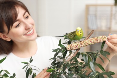 Woman feeding bright parrot with bird treat indoors, selective focus. Exotic pet