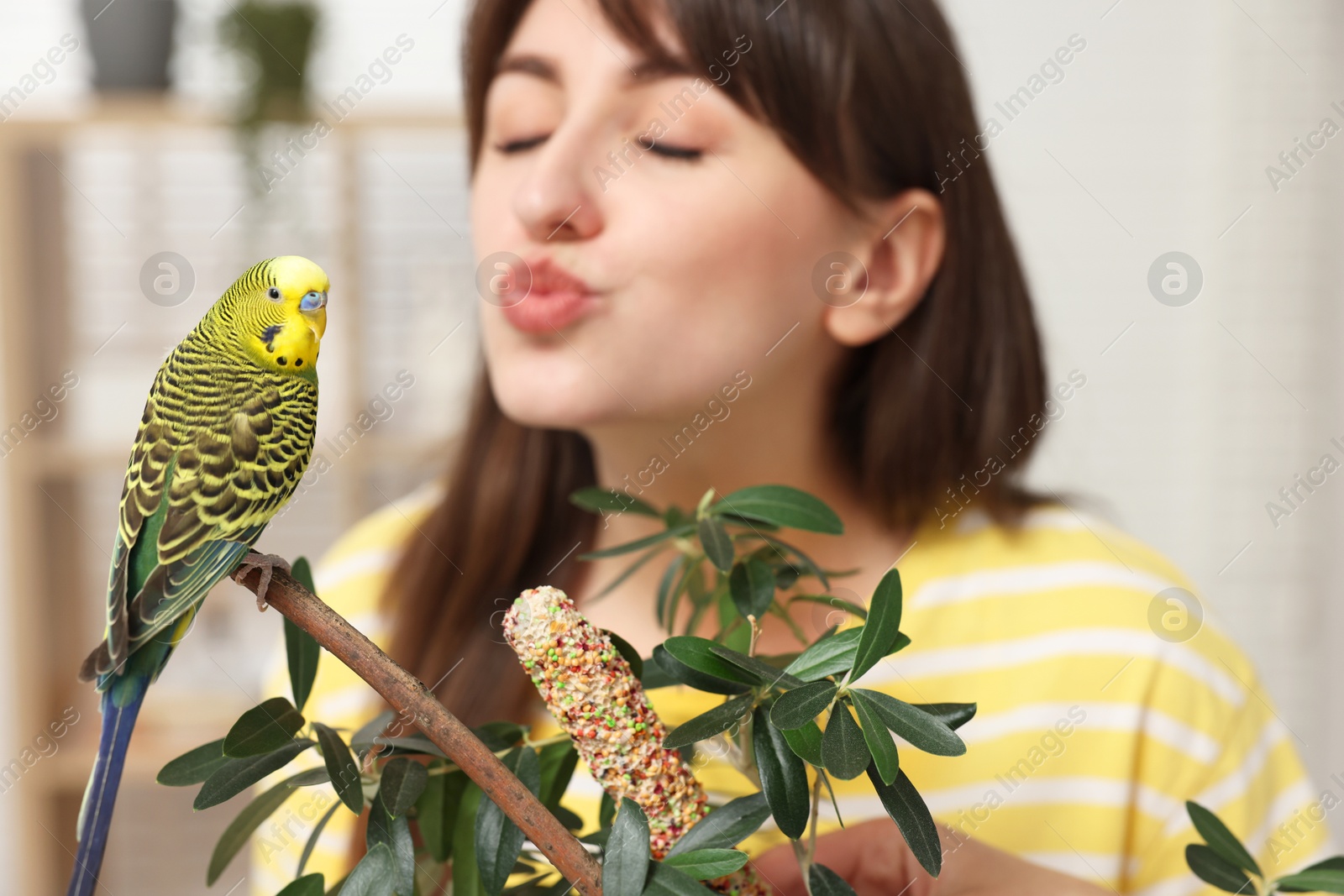 Photo of Woman with bright parrot indoors, selective focus. Exotic pet