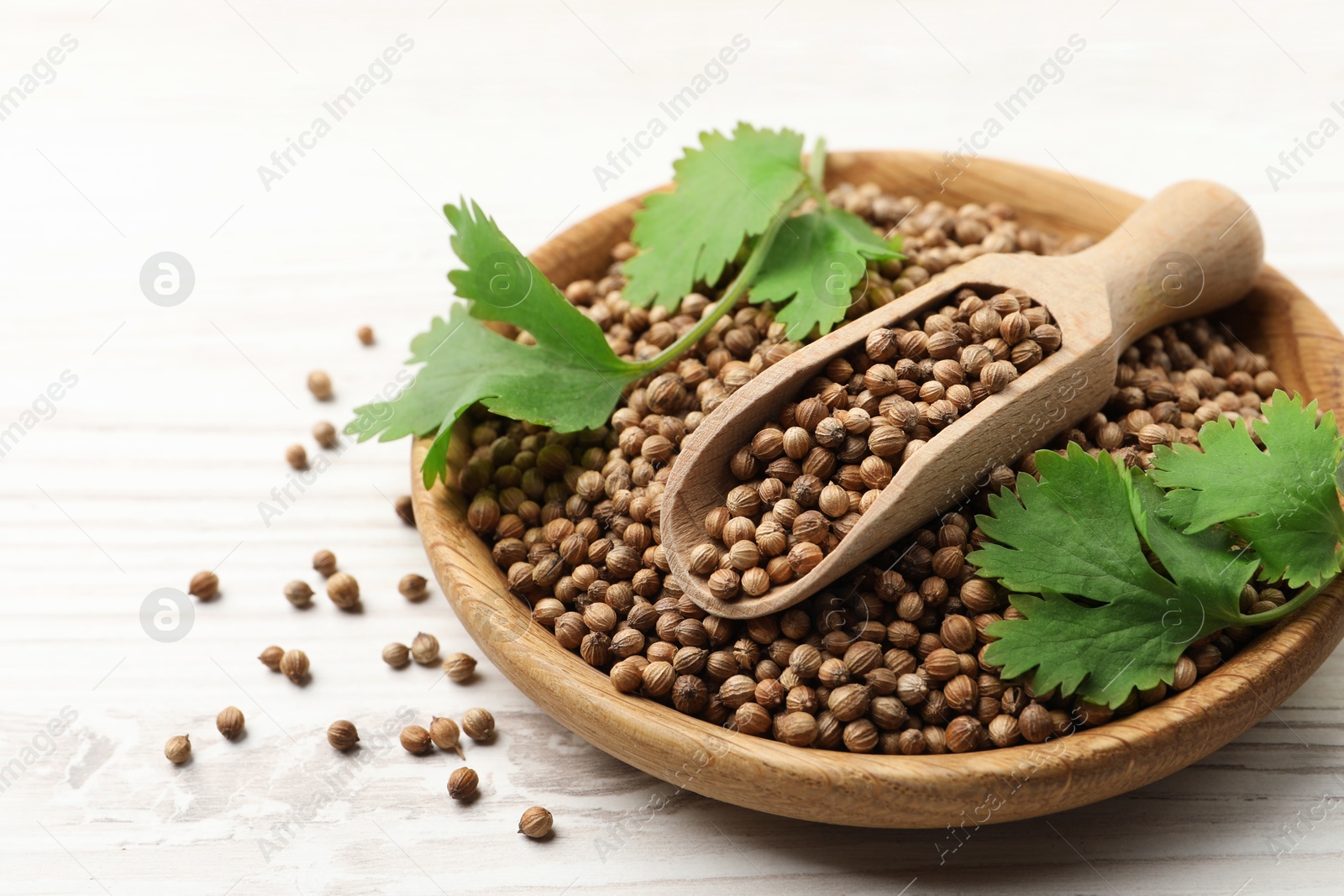 Photo of Dried coriander seeds with green leaves in bowl and scoop on wooden table, closeup