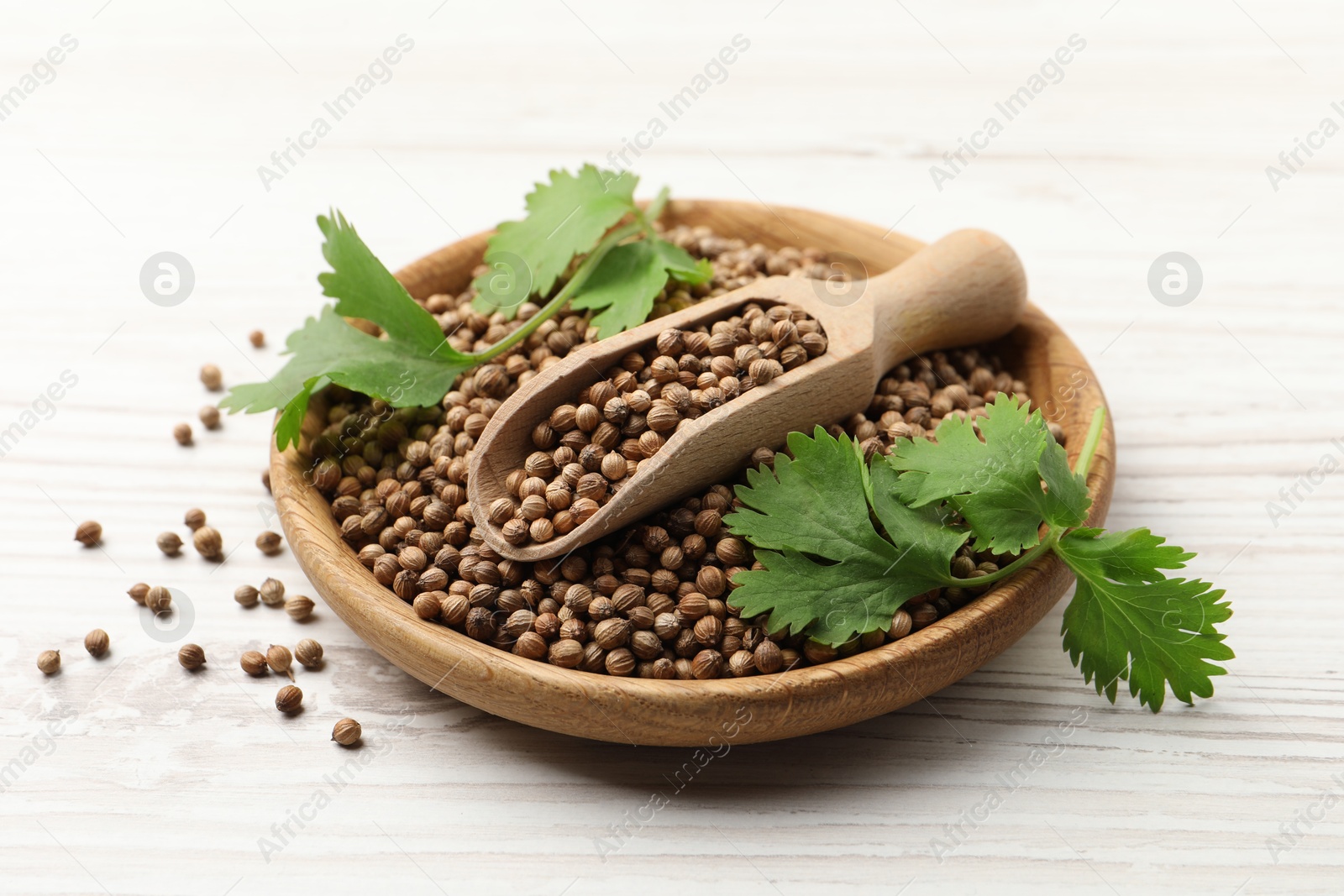 Photo of Dried coriander seeds with green leaves in bowl and scoop on wooden table, closeup