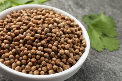 Photo of Dried coriander seeds in bowl on gray table, closeup