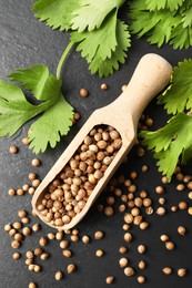 Scoop with dried coriander seeds and green leaves on dark gray textured table, flat lay