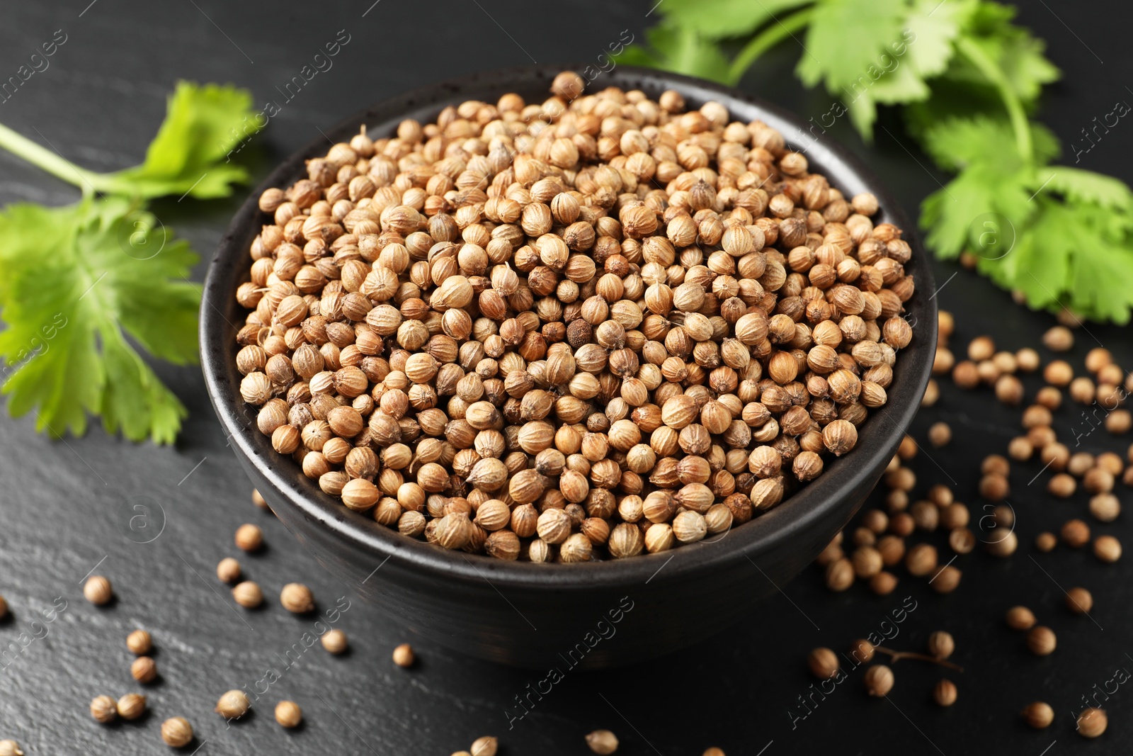 Photo of Dried coriander seeds in bowl and green leaves on dark gray textured table, closeup