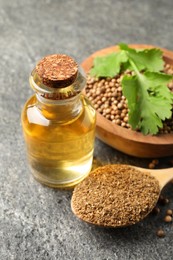 Coriander essential oil, powder, seeds and green leaves on grey table