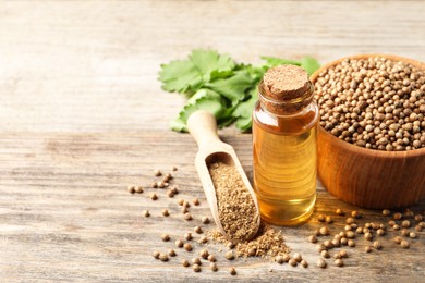 Photo of Coriander essential oil, powder, seeds and green leaves on wooden table, space for text