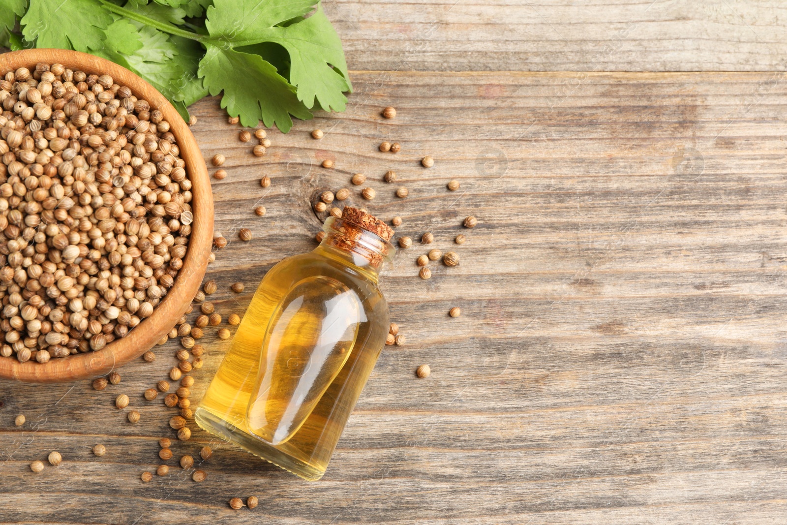 Photo of Coriander essential oil, seeds and green leaves on wooden table, top view. Space for text