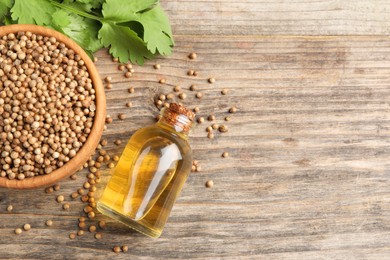 Coriander essential oil, seeds and green leaves on wooden table, top view. Space for text