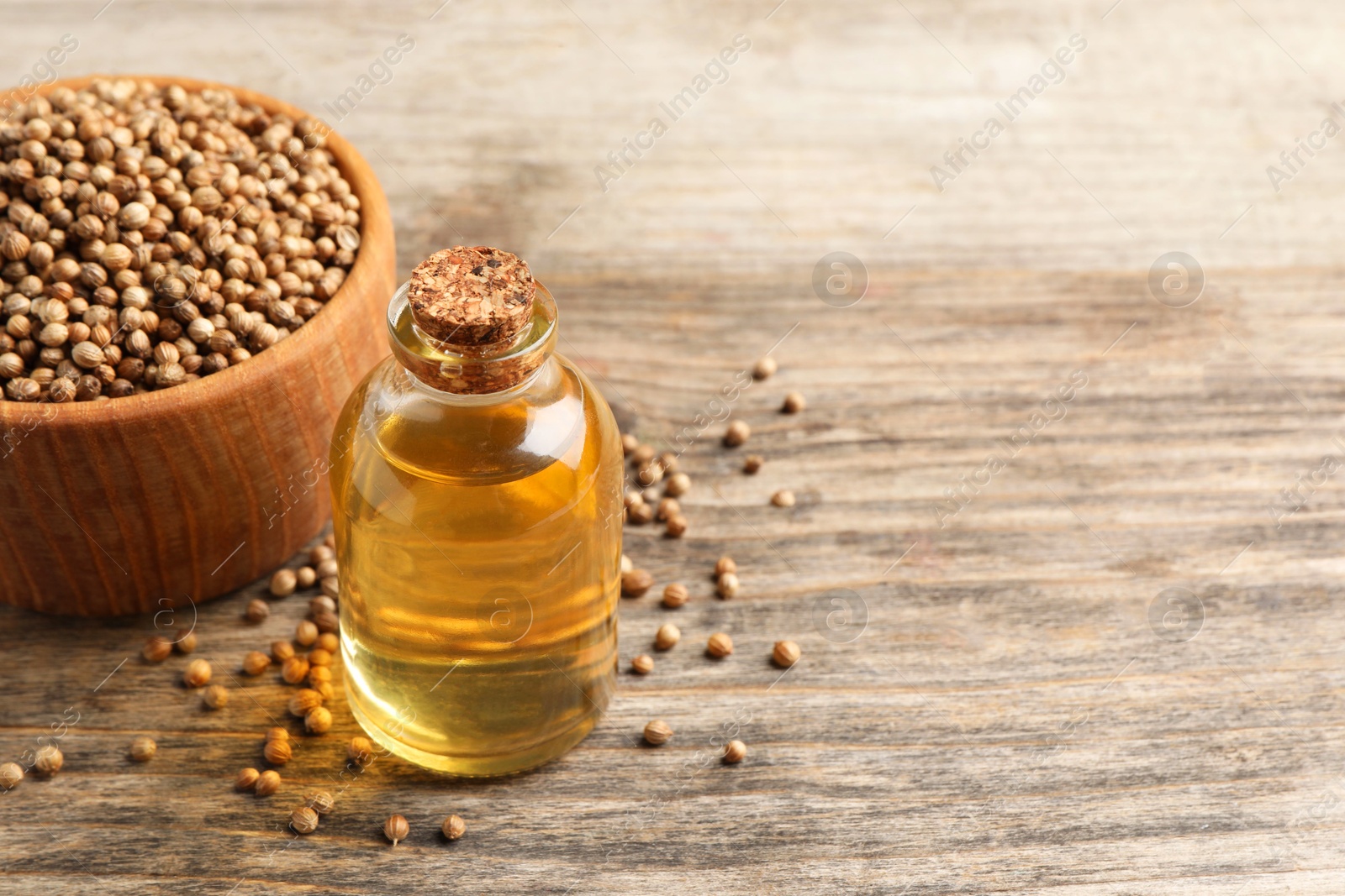 Photo of Coriander essential oil and seeds on wooden table, space for text