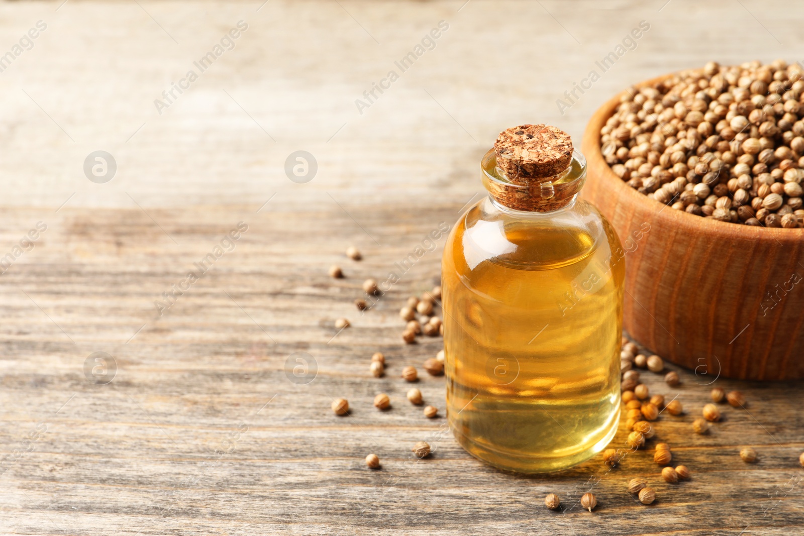 Photo of Coriander essential oil and seeds on wooden table, space for text