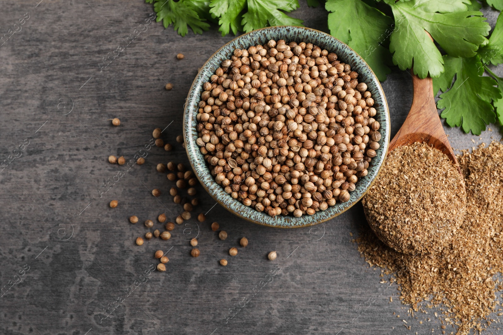 Photo of Dried coriander seeds in bowl, powder and green leaves on grey table, top view. Space for text