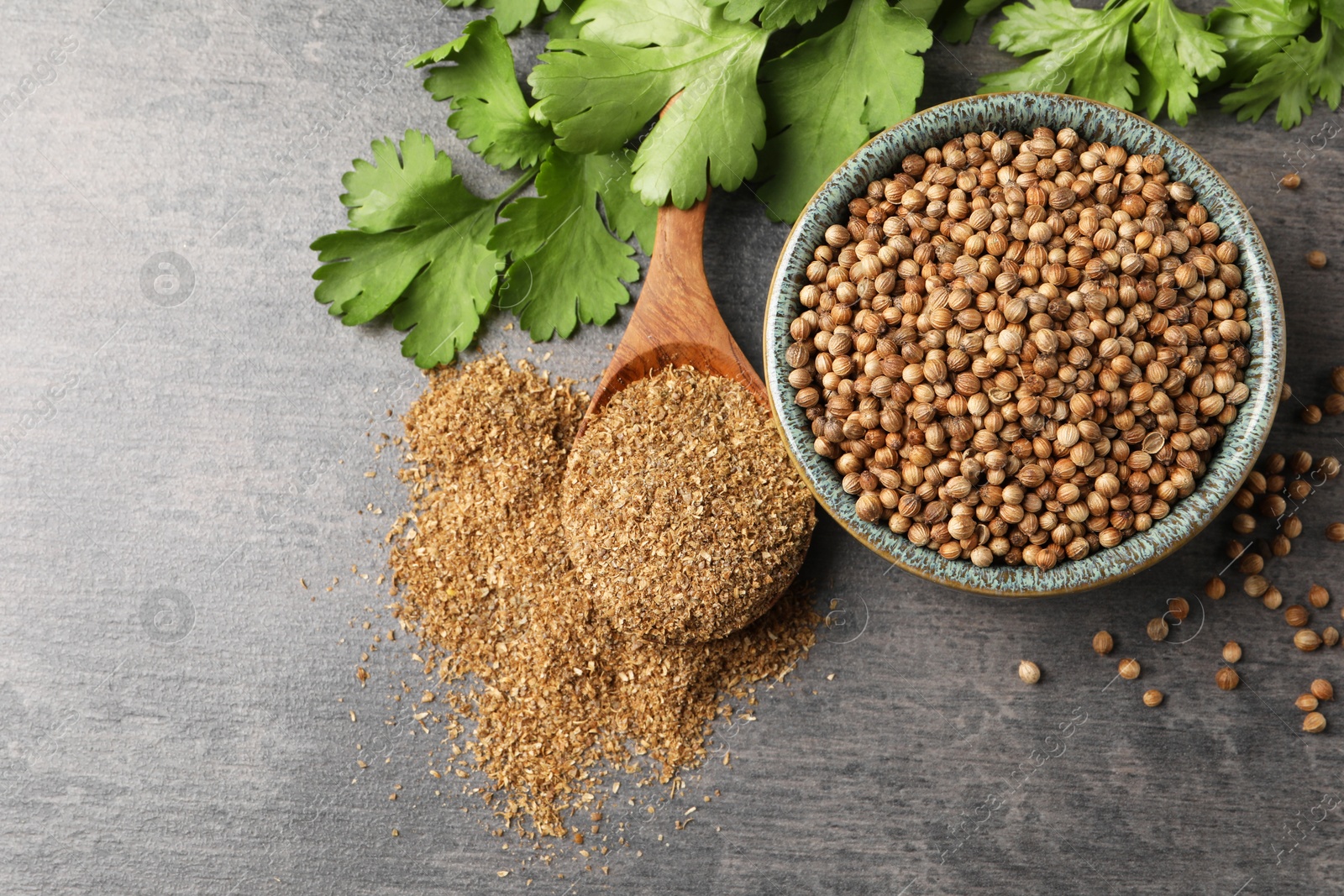 Photo of Dried coriander seeds in bowl, powder and green leaves on grey table, top view. Space for text