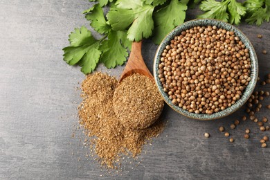 Dried coriander seeds in bowl, powder and green leaves on grey table, top view. Space for text