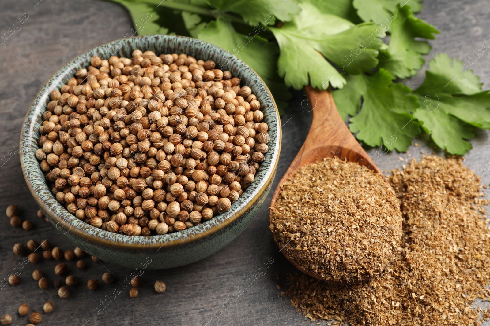 Photo of Dried coriander seeds in bowl, powder and green leaves on grey table