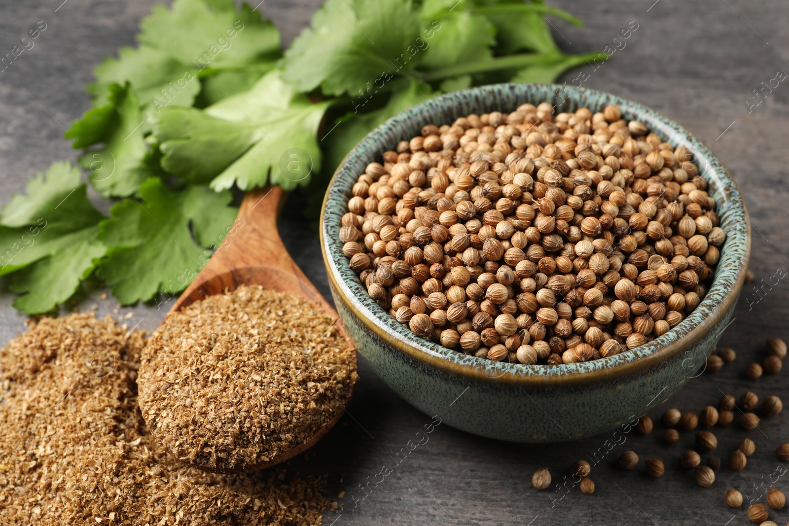 Photo of Dried coriander seeds in bowl, powder and green leaves on grey table