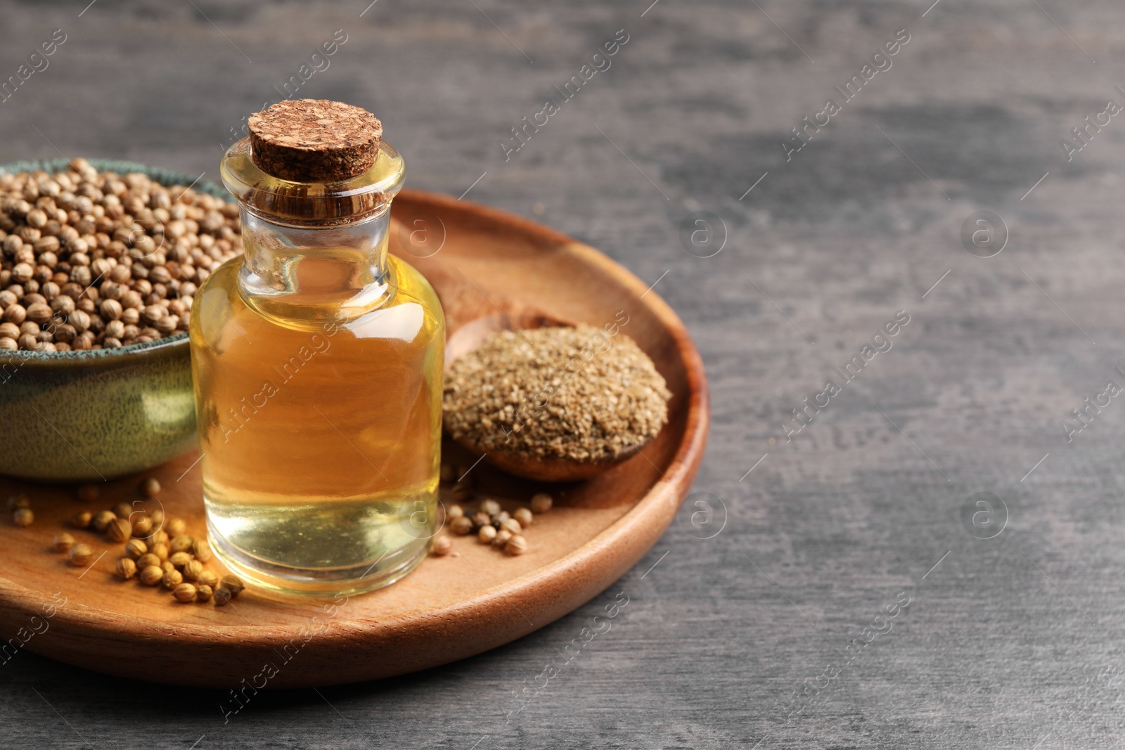 Photo of Coriander essential oil, seeds and powder on grey table, space for text