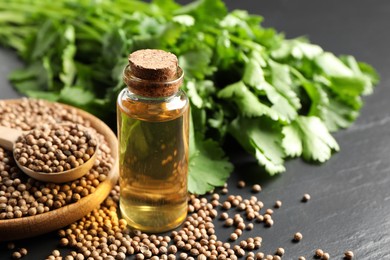 Photo of Coriander essential oil, seeds and green leaves on black table