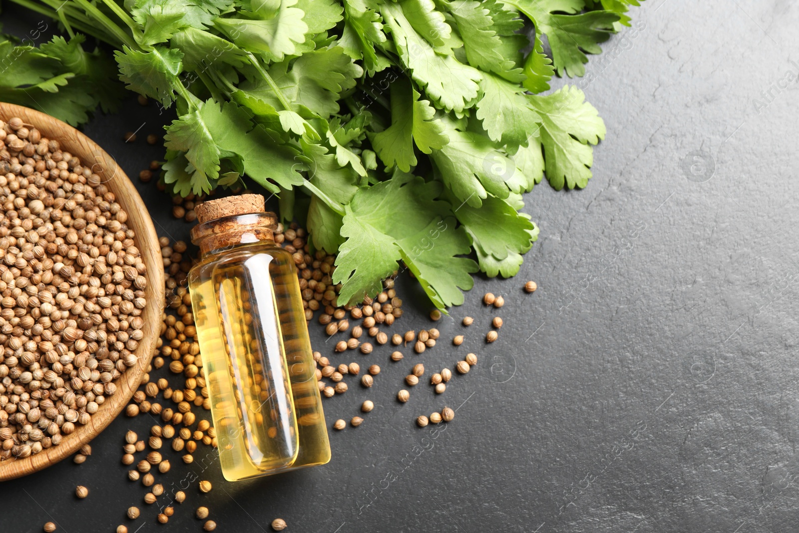 Photo of Coriander essential oil, seeds and green leaves on black table, top view. Space for text