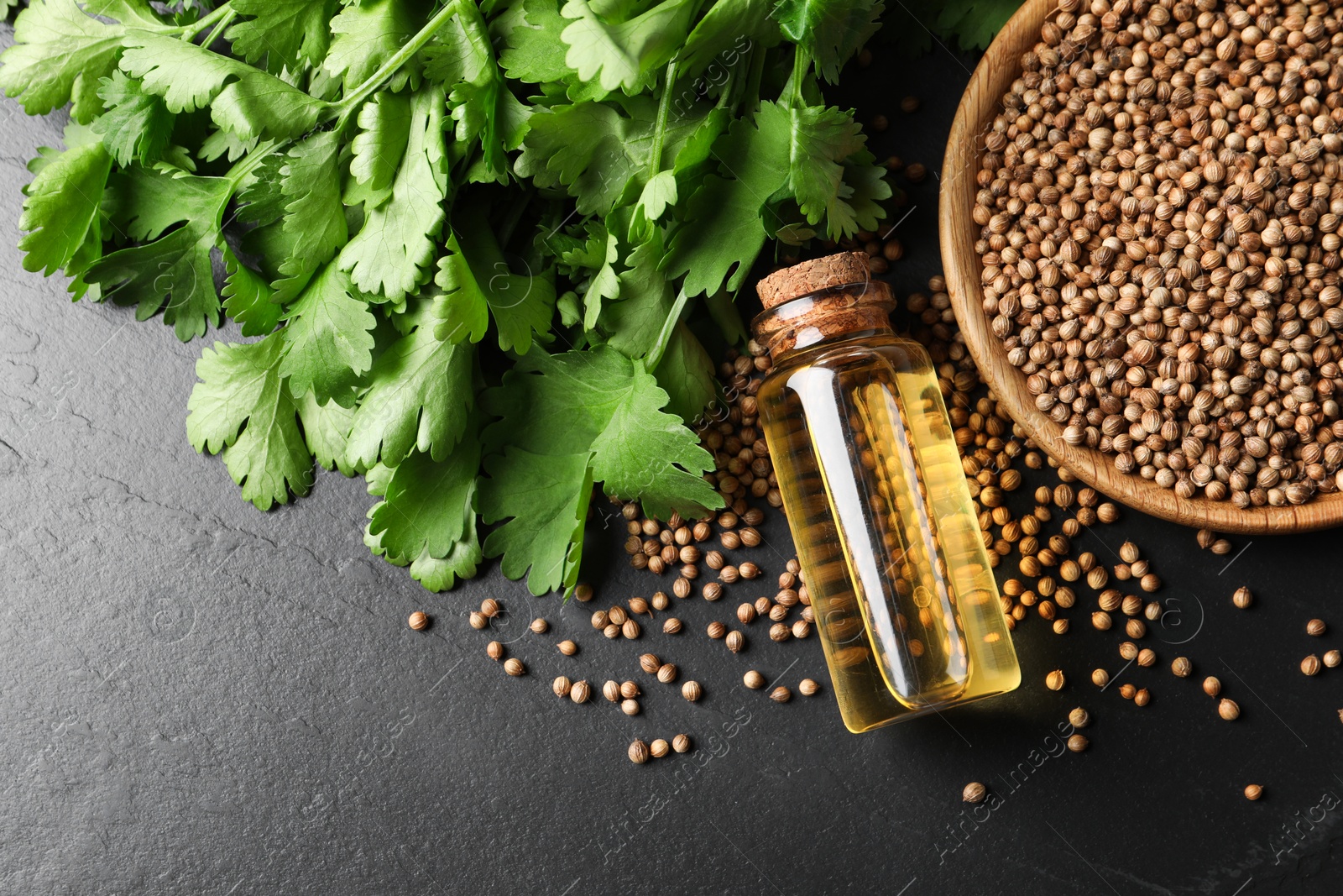 Photo of Coriander essential oil, seeds and green leaves on black table, top view