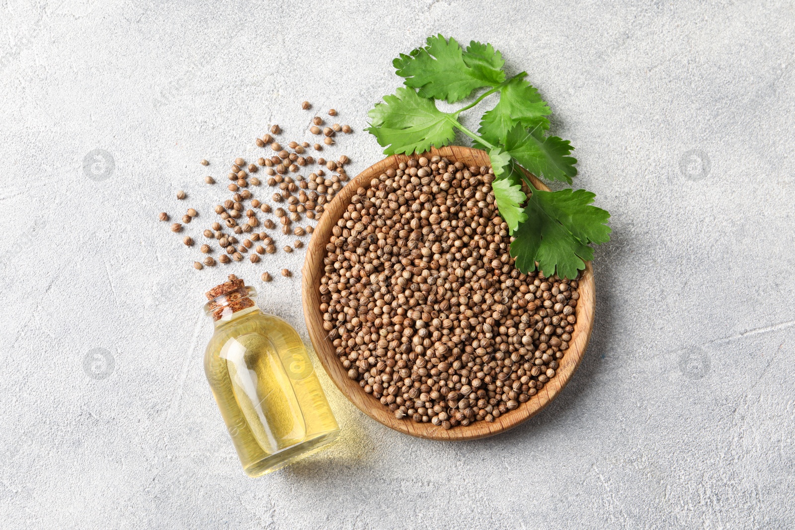 Photo of Coriander essential oil, seeds and green leaves on light grey table, top view