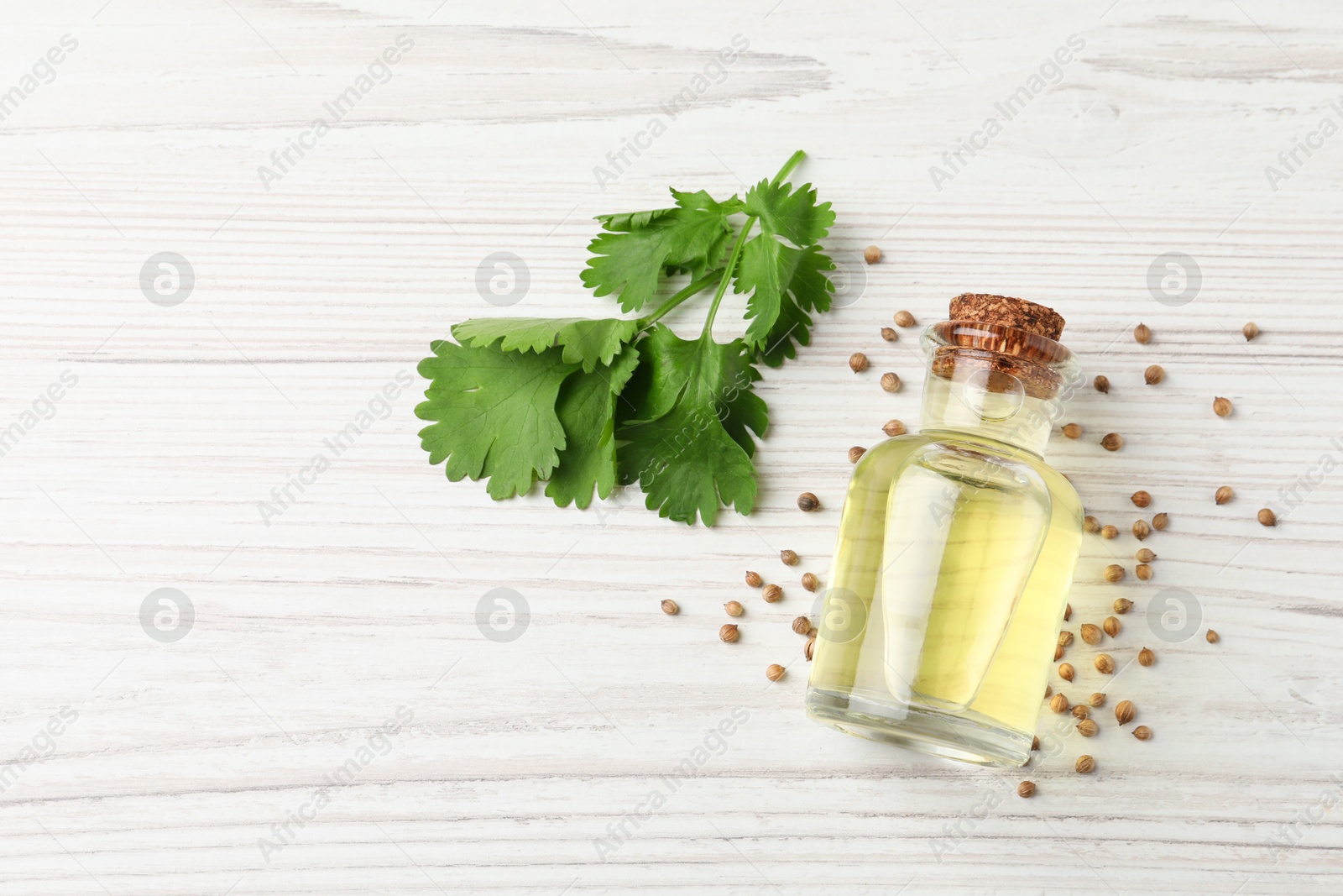 Photo of Coriander essential oil, seeds and green leaves on wooden table, top view. Space for text