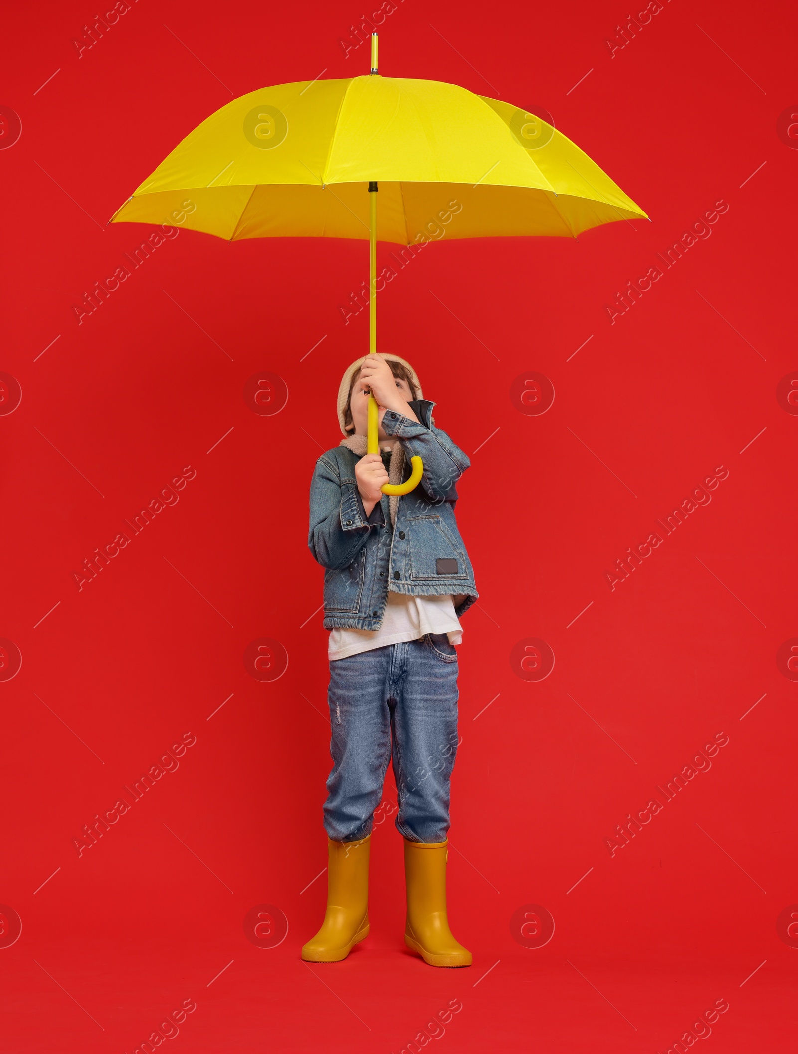 Photo of Little boy with yellow umbrella on red background