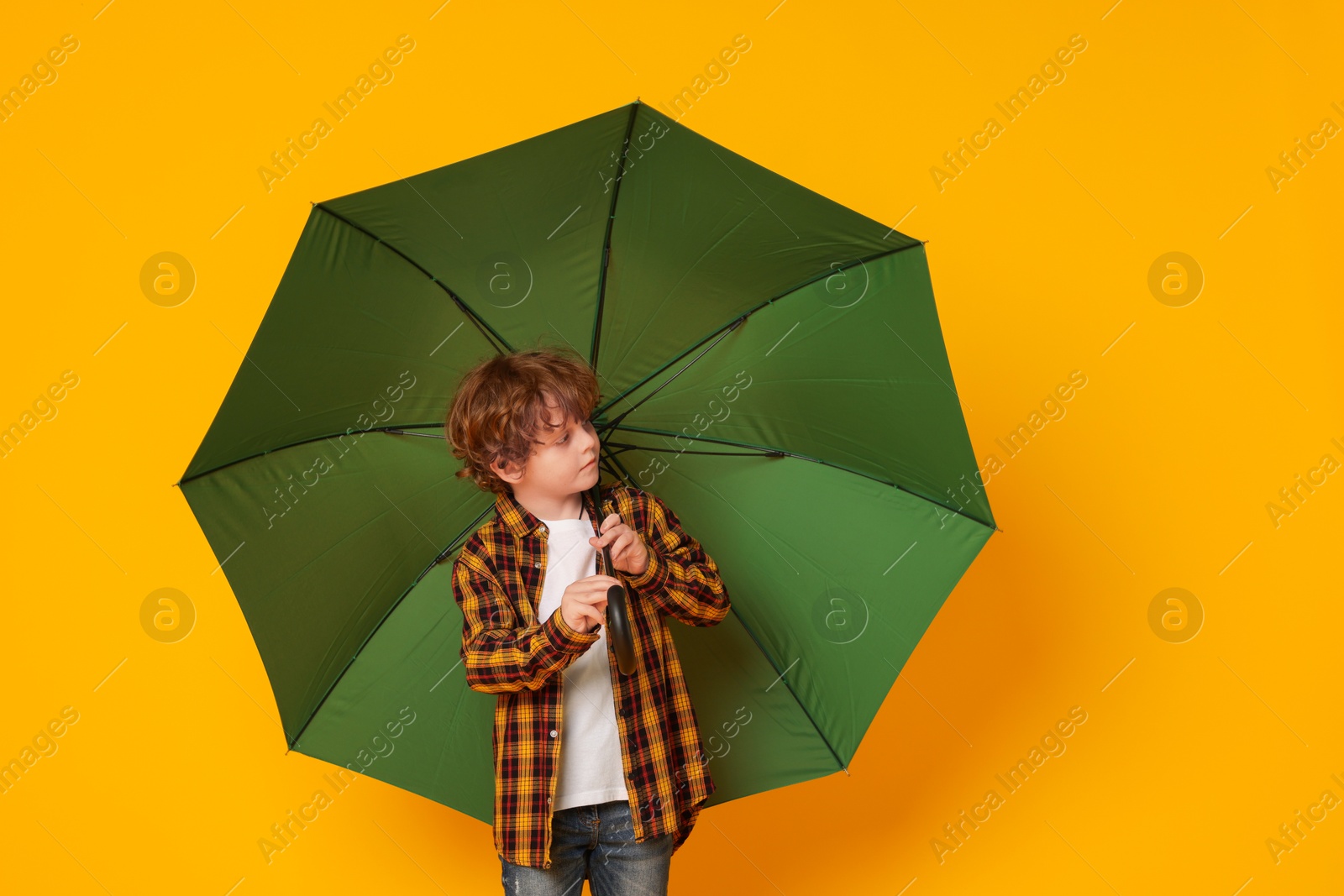 Photo of Little boy with green umbrella on orange background