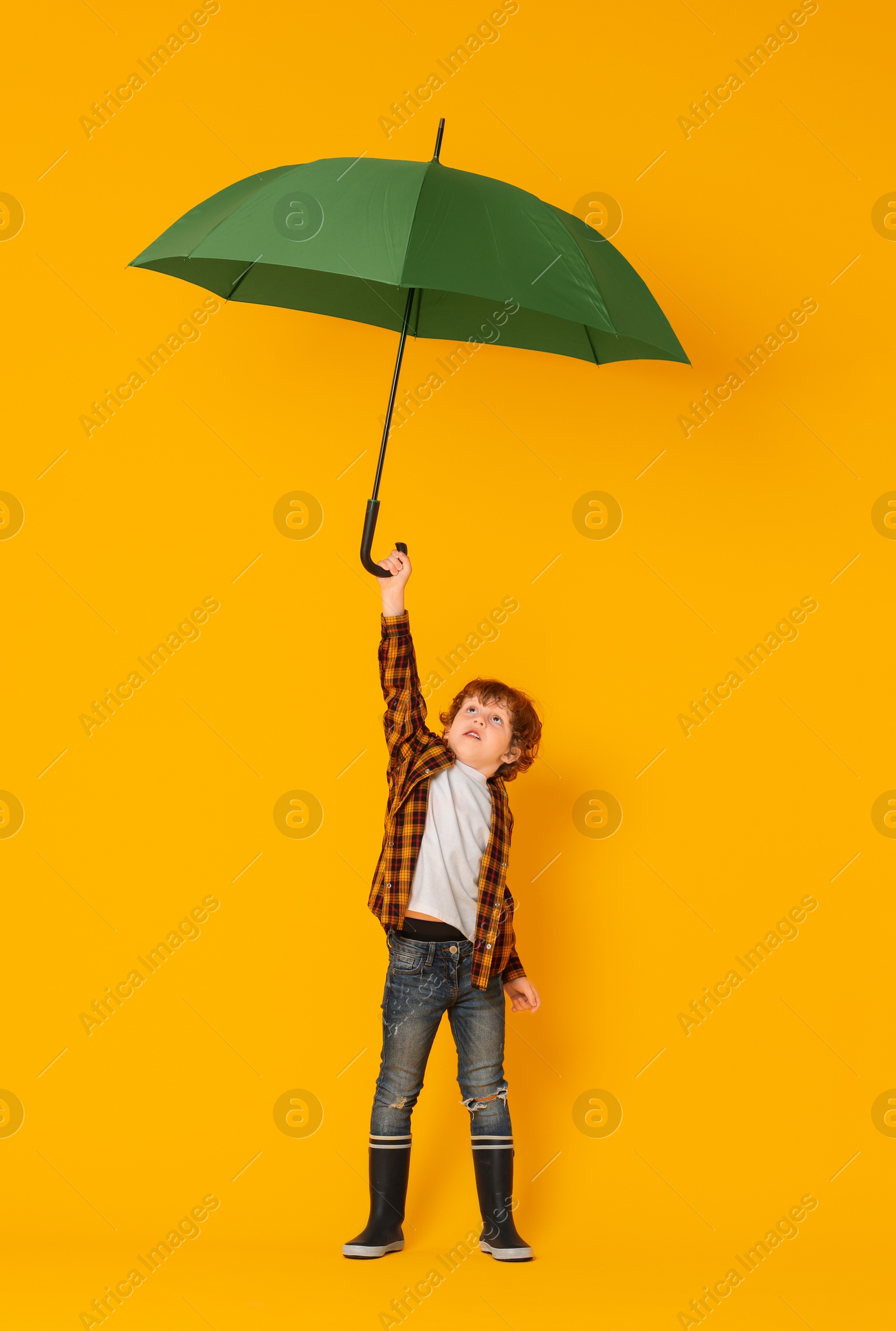 Photo of Little boy with green umbrella on orange background