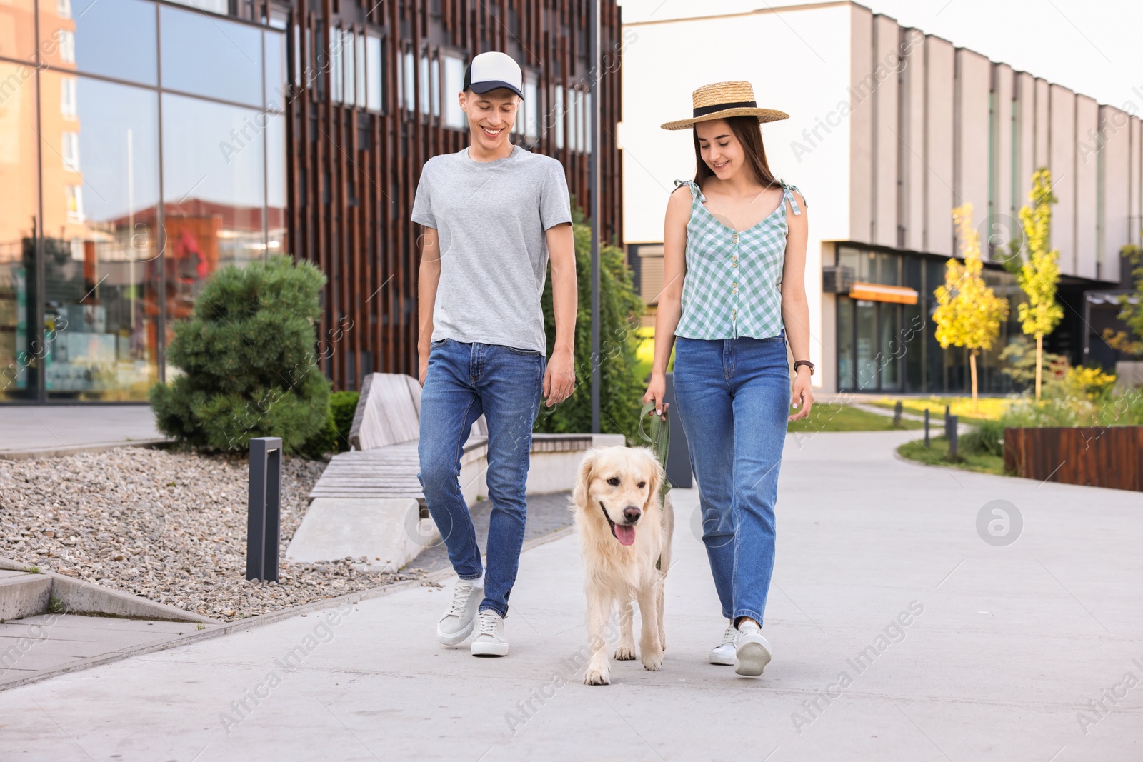 Photo of Happy couple walking with cute Golden Retriever dog outdoors