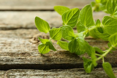 Photo of Sprigs of fresh green oregano on wooden table, closeup