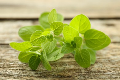 Photo of Sprigs of fresh green oregano on wooden table, closeup