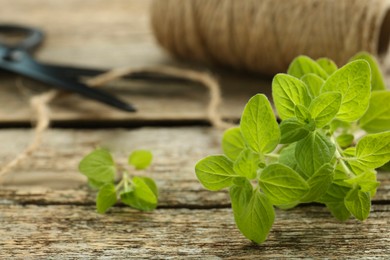 Photo of Sprigs of fresh green oregano on wooden table, closeup