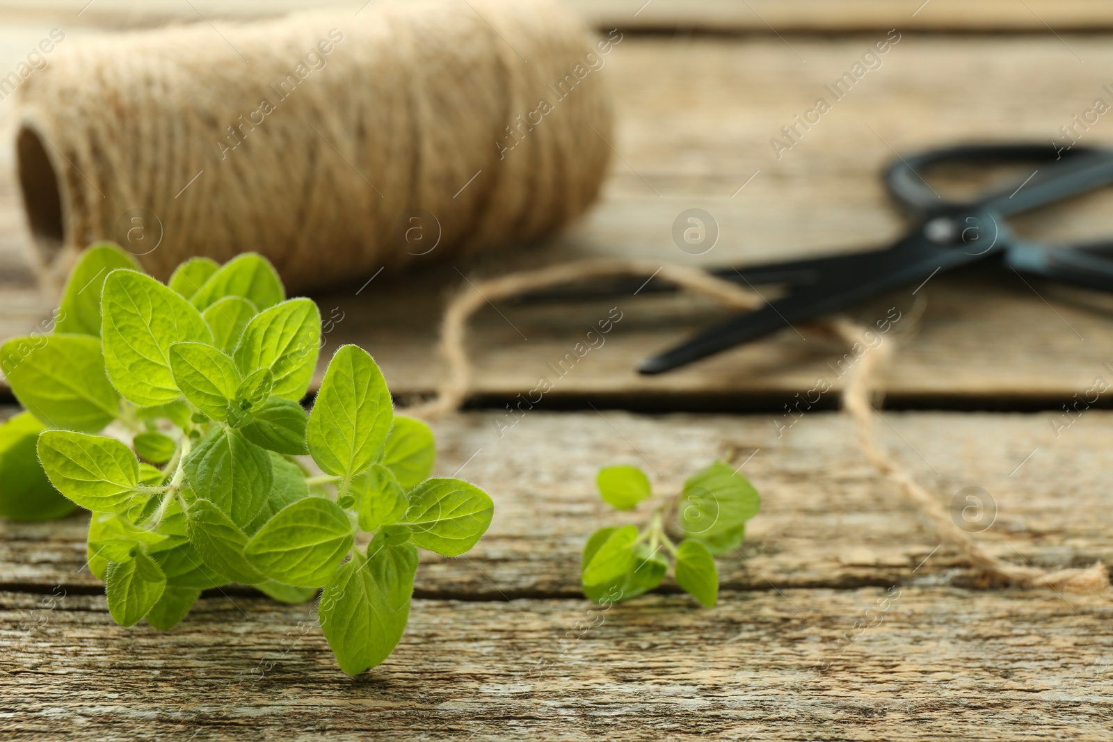 Photo of Sprigs of fresh green oregano on wooden table, closeup