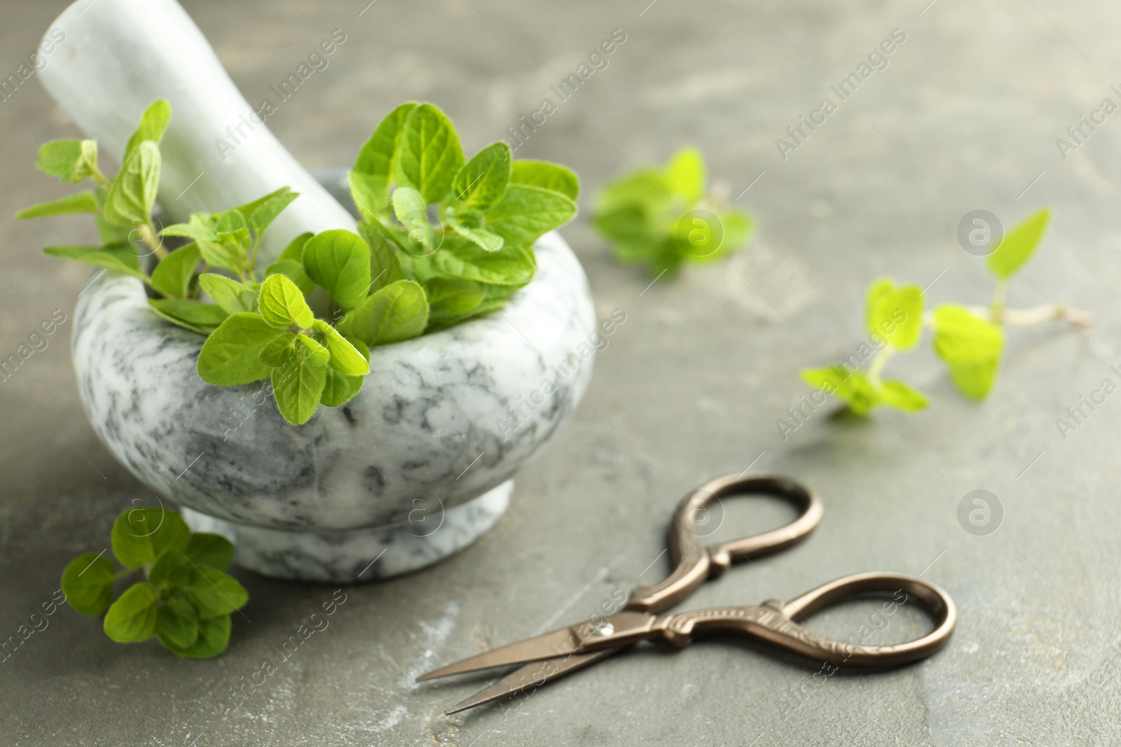 Photo of Mortar with sprigs of fresh green oregano and scissors on gray textured table, closeup