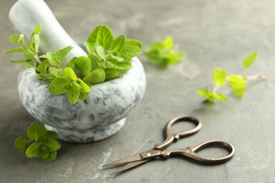 Mortar with sprigs of fresh green oregano and scissors on gray textured table, closeup