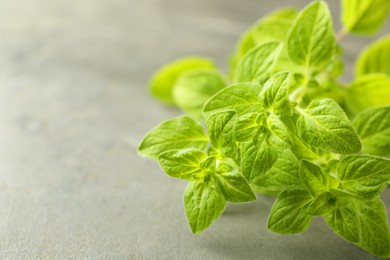 Sprigs of fresh green oregano on gray table, closeup. Space for text