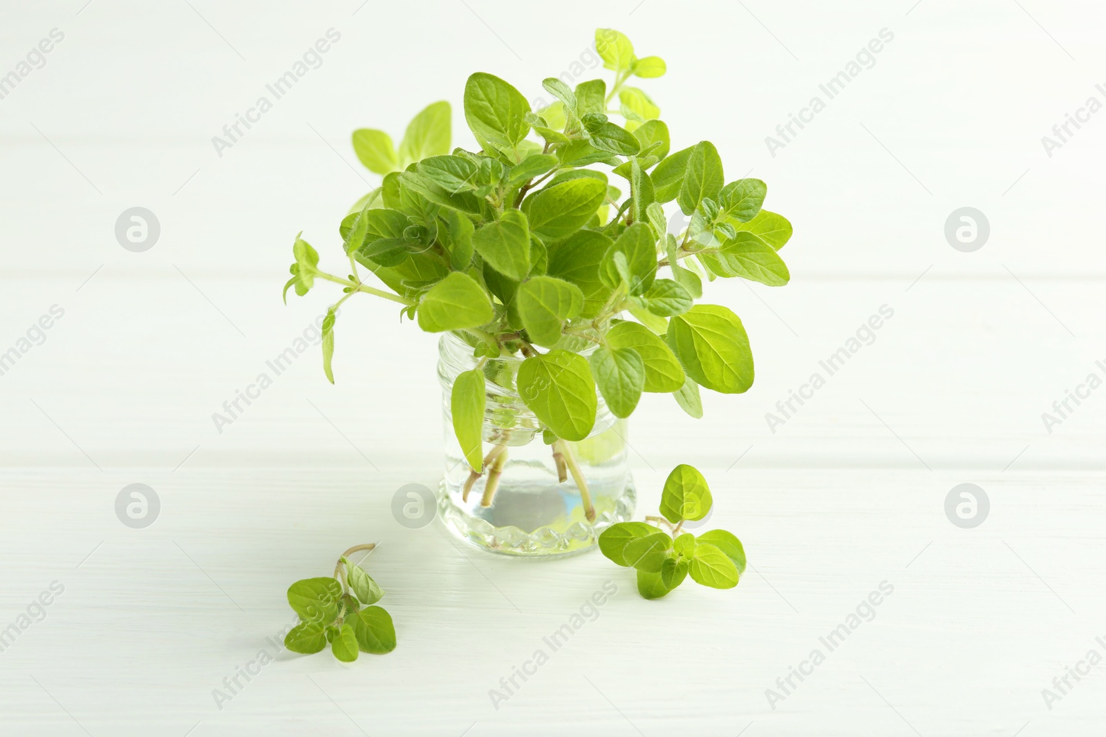 Photo of Sprigs of fresh green oregano in glass jar on white wooden table