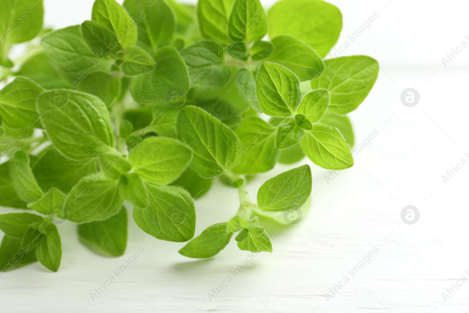 Photo of Sprigs of fresh green oregano on white wooden table, closeup