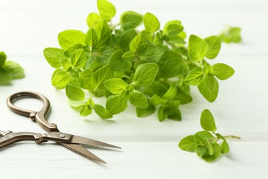 Photo of Sprigs of fresh green oregano and scissors on white wooden table, closeup