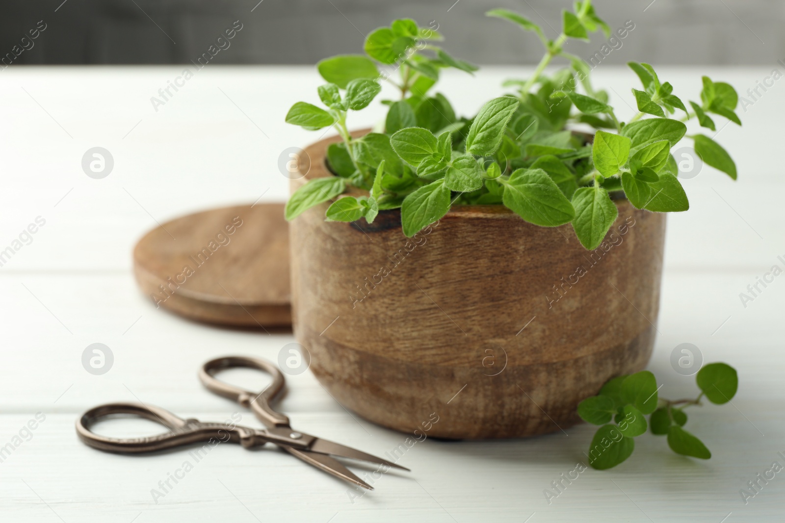 Photo of Sprigs of fresh green oregano in bowl and scissors on white wooden table, closeup